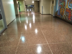 Penn Station Terrazzo Floor