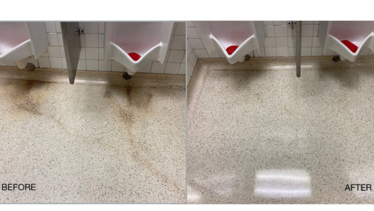 Restore Urine Stained Terrazzo Bathroom Floors